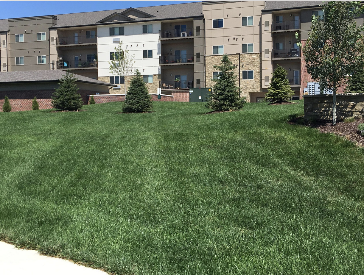 Landscaping contractor in Omaha installing retaining walls and hardscapes